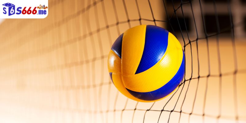 cách chơi cá độ bóng chuyền